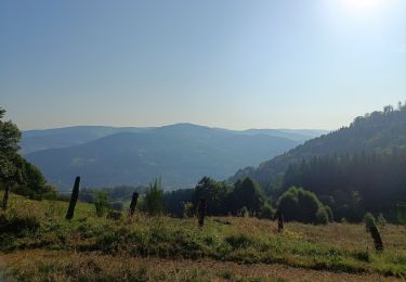 Randonnée Marche Vagney - Circuit tourbière de la charme/ chalet des fraiteux - Photo