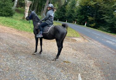 Trail Horseback riding Badonviller - Kalio Joyeux chapelotte grotte des poilus - Photo