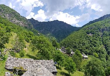 Tocht Te voet Premosello-Chiovenda - A38 - Premosello - Bocchetta di Saler - Photo