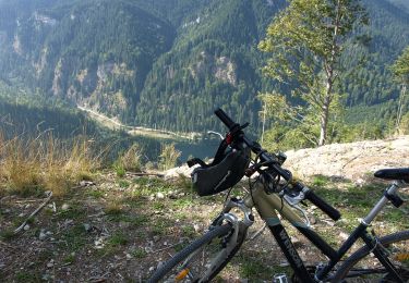 Tour Zu Fuß Unbekannt - Cheile Oltețului - Photo