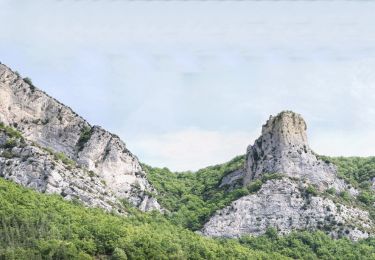 Tour Wandern Saou - Roche-Colombe (Saoû) - Photo