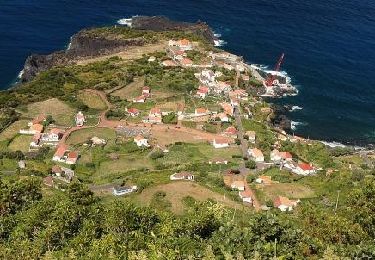 Tocht Te voet Calheta de Nesquim - Calheta do Nesquim - Photo