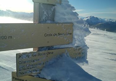 Tocht Ski randonnée Fillière - SOUS DINE - Photo