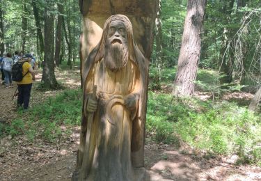 Tour Wandern Bellême - de belleme a l'etang de la herse - Photo