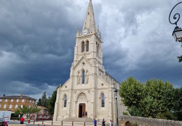 Excursión Senderismo Chazay-d'Azergues - Pierres-Dorées_Visite_Chanay-d'Arzegues - Photo