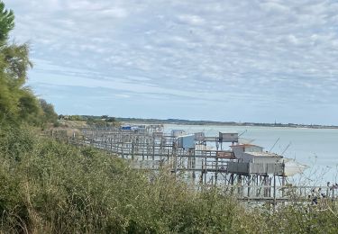 Tour Wandern Port-des-Barques - Port des Barques - Photo