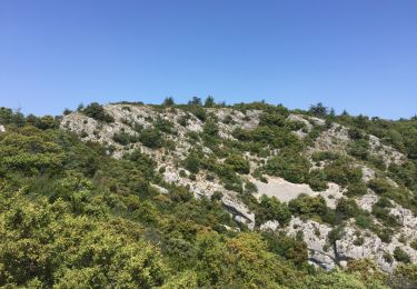 Trail Walking Mérindol - PF-Mérindol - Puget-Les Borrys-Rochers des Onze Heures-Croix de Fer-Combe de l'Euse - Photo