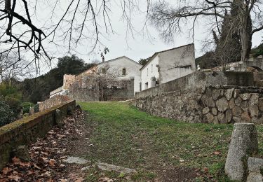Excursión A pie Sant Celoni - SL-C 79 La vall d'Olzinelles - Photo
