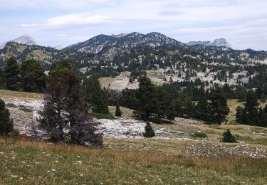 Tour Wandern Romeyer - pas des Bachassons/Chabrinelle-Romeyet - Photo