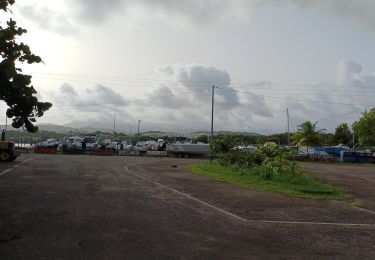 Tour Wandern Le Lamentin - Boucles de Morne Cabrit - Photo