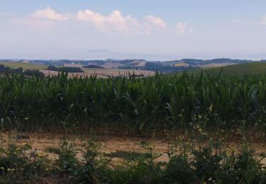 Trail Walking Montferrand - balade autour de Montferrand  - Photo