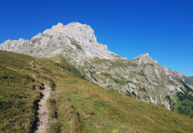 Tocht Te voet Pellafol - La grande tête de l'Obiou - Photo