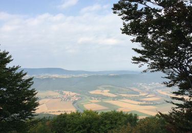 Tocht Te voet Meinhard - RW 3 Schöne Aussicht und Hörne - Photo