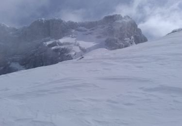 Percorso Sci alpinismo Villard-de-Lans - Ric du Cornafion et Rocher de l'ours - Photo