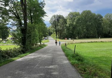 Excursión Paseo ecuestre Entrelacs - Crosagny 15.08.2019 - Photo