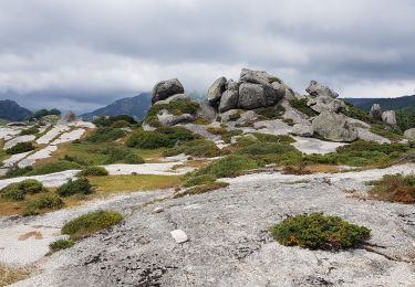 Trail Walking Zicavo - Corse - Boucle de l'aconit depuis Bergerie de Basseta - Photo