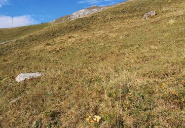 Excursión Marcha nórdica Arbaz - pas de Maimbré  - Photo