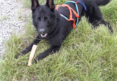 Tocht Lopen Bergen - 2eme course nage odin - Photo