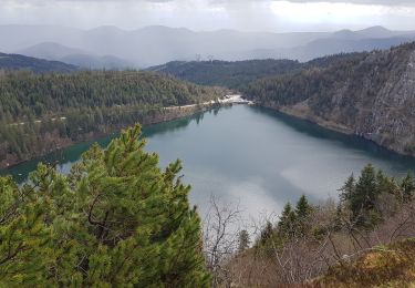 Excursión Senderismo Orbey - lac blanc col du calvaire - Photo