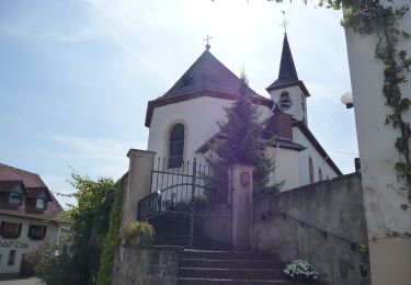 Tour Zu Fuß Bockenau - DVV Durch die Bockenauer Schweiz 2 - Photo