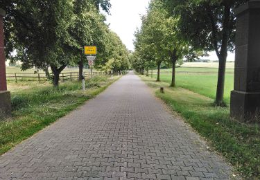 Excursión A pie Reinheim - Geopark-Pfad Reinheimer Hügelland - Photo