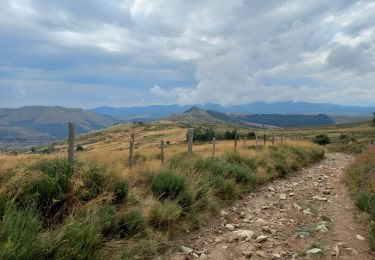 Trail Walking Mont Lozère et Goulet - Le Bleymard / Pont de Montvert - Photo