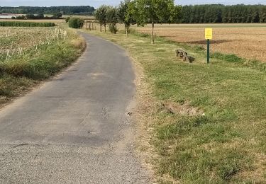 Tocht Stappen Lassigny - parcours sportif lassigny  - Photo