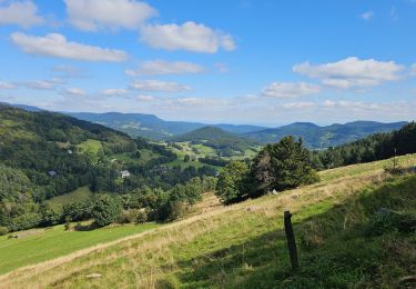 Excursión Bici de montaña Orbey - Welche E Bike Tour 2024 - Photo