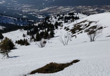 Tour Schneeschuhwandern Lans-en-Vercors - Pic St Michel 2020 - Photo