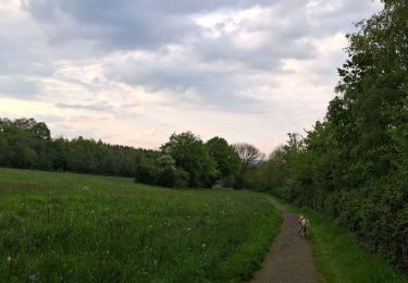 Trail Walking Verviers - Séroule - Ensival - Photo
