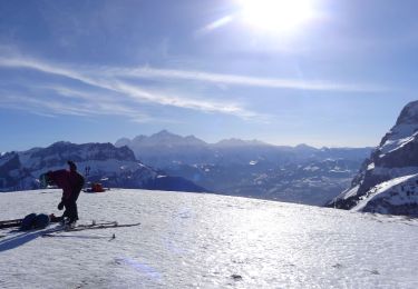 Trail Touring skiing Nancy-sur-Cluses - Tête de Sallaz - Photo