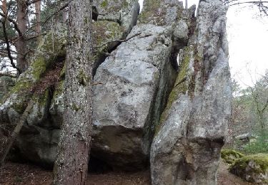 Trail Walking Noisy-sur-École - Sentier des 25 bosses - Photo