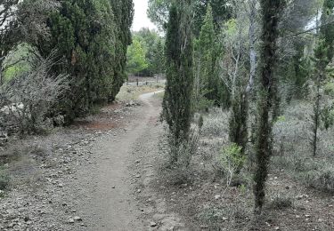 Tour Wandern Leucate - leucatr courte - Photo