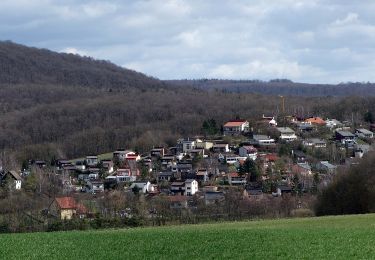 Tocht Te voet Dingolshausen - Rundweg Michelau M1 - Photo