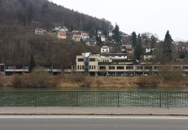 Randonnée A pied Eberbach - Rundwanderweg Stolzeneck 2: Neckarblick-Weg - Photo