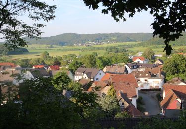 Tocht Te voet Bad Endbach - Extratour Steinperfer Runde - Photo