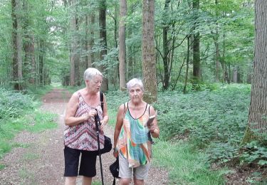 Trail Walking Lobbes - Bois du Baron 8 07 23 - Photo