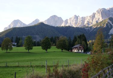 Percorso A piedi Ramsau am Dachstein - Rittisberg Rundweg 