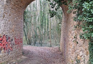 Trail Walking Morigny-Champigny - pontde4 - Photo