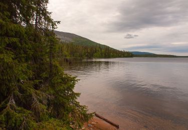 Excursión A pie Muonio - Pyhäjoen luontopolku - Photo