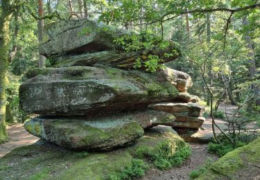 Trail Walking Ottrott - Circuit au Mont St Odile - Photo