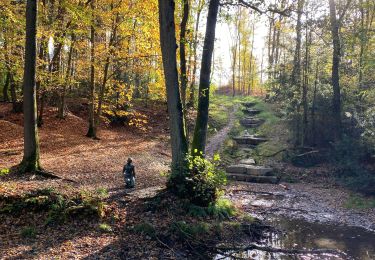 Randonnée Marche Liège - Colonster parc forêt université  - Photo
