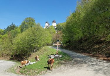 Tocht Te voet Onbekend - Culmea Pietriceaua (traseul CR) - Turnu Roșu - Photo