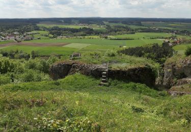 Tour Zu Fuß Plankenfels - Plankenfels Grün-Punkt-Rundweg - Photo