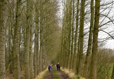 Trail On foot Sint-Niklaas - Fondatie van Boudeloroute - Photo