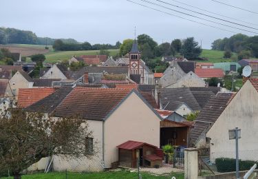 Tocht Stappen Château-Thierry - Château-Monneau du 15-10-2024 - Photo