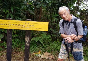 Trail Walking Petit-Bourg - Mamelle de Petit bourg  - Photo