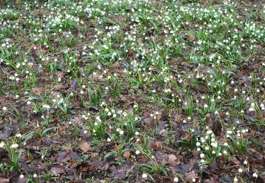 Randonnée A pied Artern - Quernetal-Heygendorf-Lodersleben - Photo