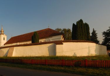 Percorso A piedi  - Castelul Mikes - Dl. Căpâlna - Photo