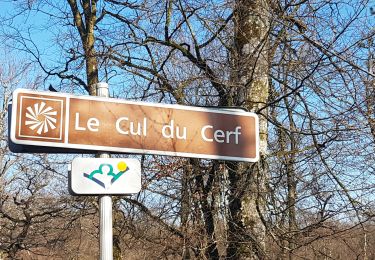 Trail Walking Orquevaux - Orquevaux : Le cul du cerf - Photo